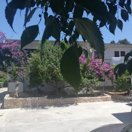 Emica Jelsa (Hvar)